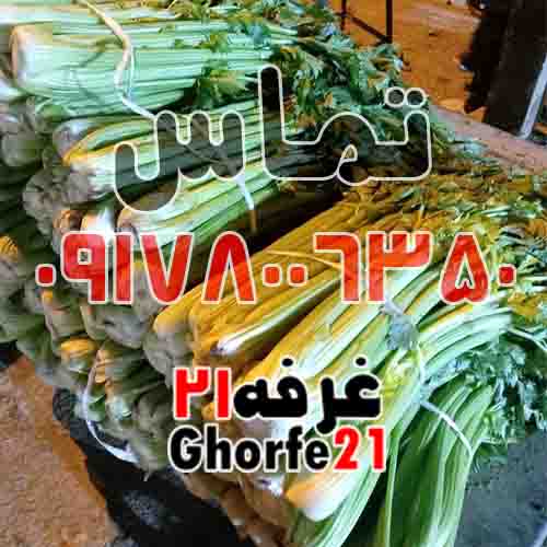 میوه های دستچین